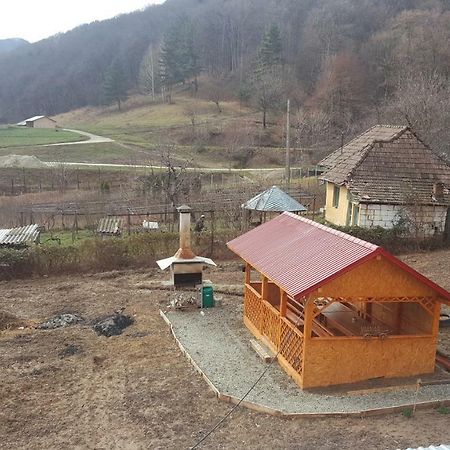 Casa Dodoc Ξενοδοχείο Caciulata Εξωτερικό φωτογραφία