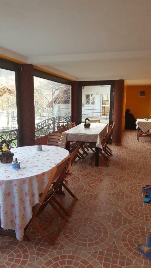 Casa Dodoc Ξενοδοχείο Caciulata Εξωτερικό φωτογραφία