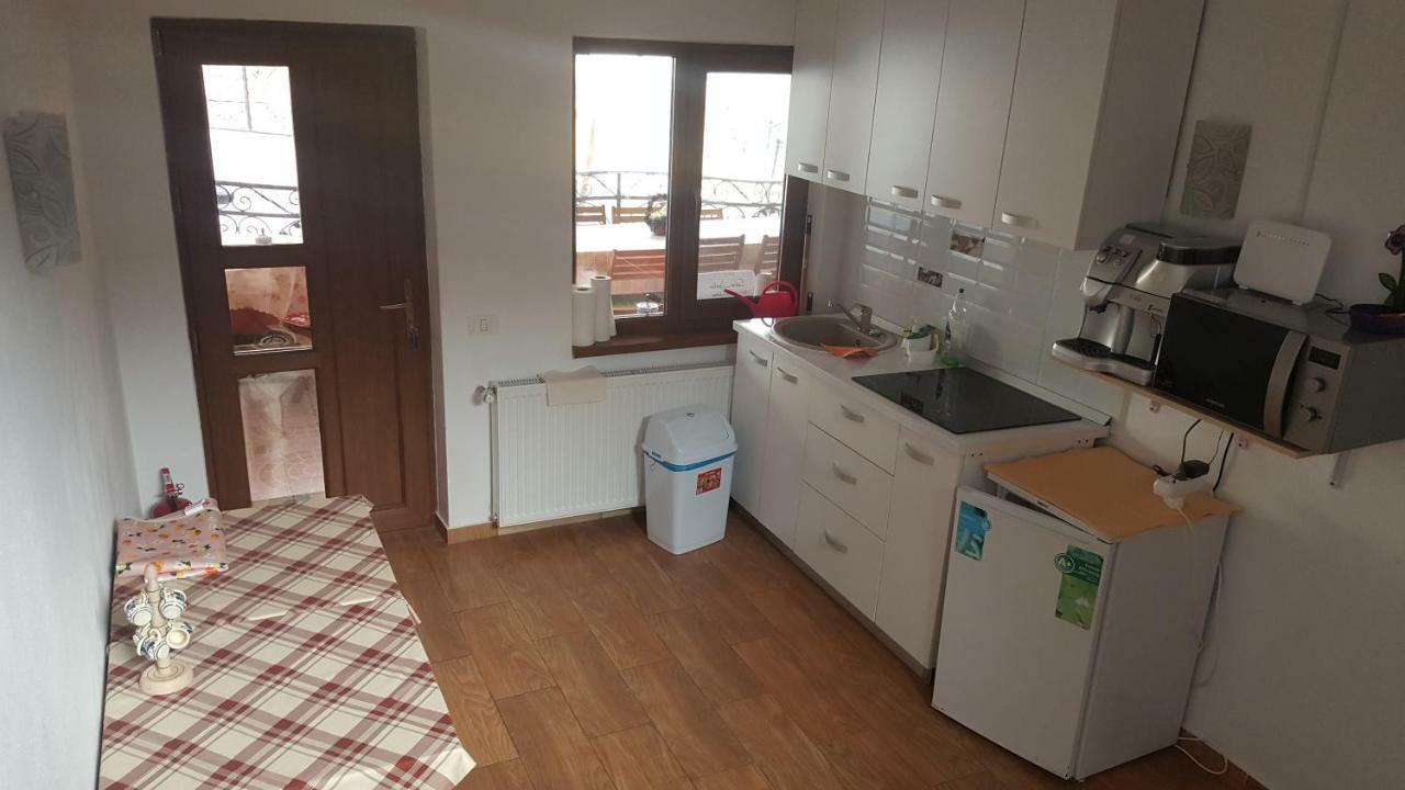 Casa Dodoc Ξενοδοχείο Caciulata Εξωτερικό φωτογραφία